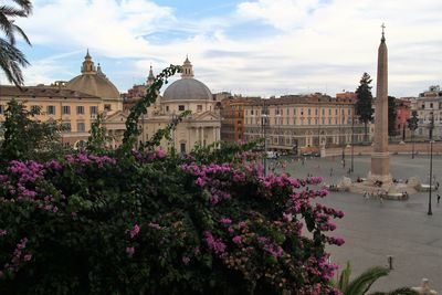 Top view of piazza del popolo in rome.