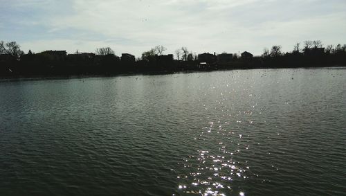 Reflection of trees in water