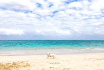 Scenic view of sea against sky