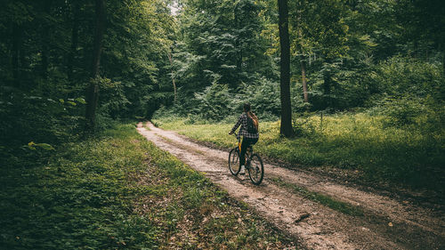 Rear view of woman riding bicycle in forest