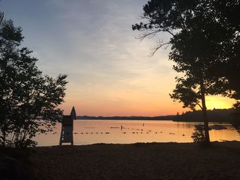 Silhouette trees on beach against sky during sunset