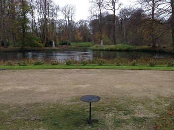 Reflection of trees in water