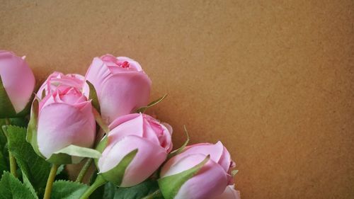 Close-up of pink roses