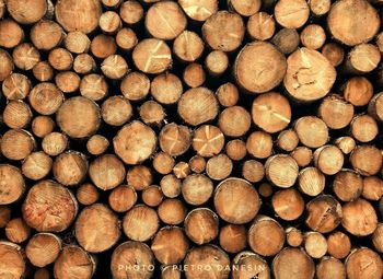 Full frame shot of logs