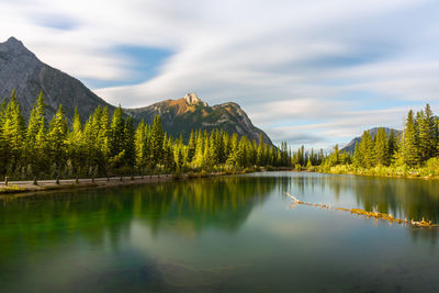 Scenic view of lake by trees against sky