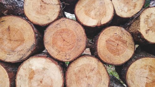 Full frame shot of firewood