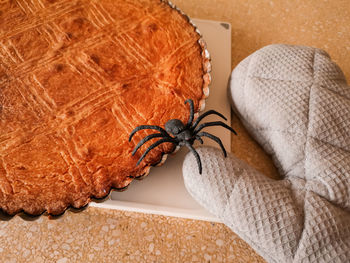 Close-up of butterfly on table