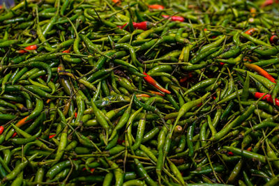 Close-up of red chili peppers