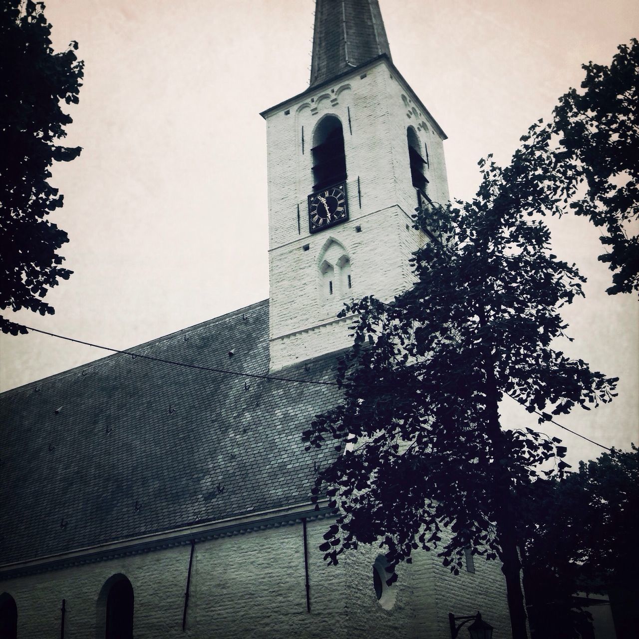 architecture, building exterior, built structure, low angle view, church, religion, place of worship, tree, tower, spirituality, clear sky, sky, cross, clock tower, tall - high, branch, no people, day