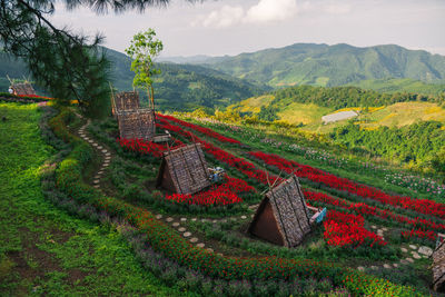 landscape
