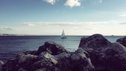 Sailboat sailing on sea against sky