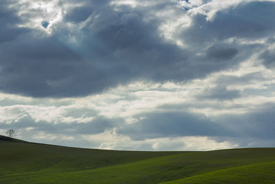 Scenic view of field against sky