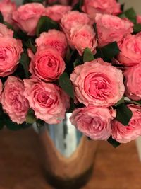 High angle view of pink roses