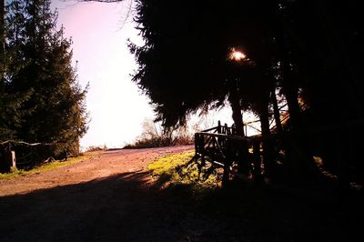 Silhouette trees against sky