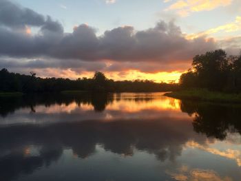 Reflection of trees in lake