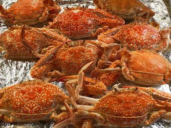 Close-up of crabs for sale at market stall