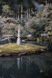 Reflection of trees on lake in forest