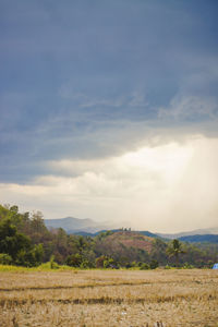 Scenic view of field against sky