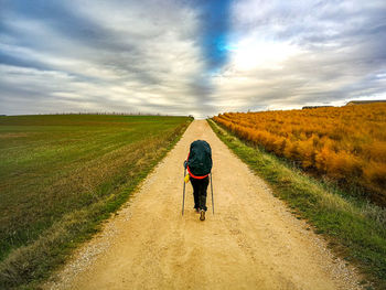 Rear view of woman walking on road amidst field against sky