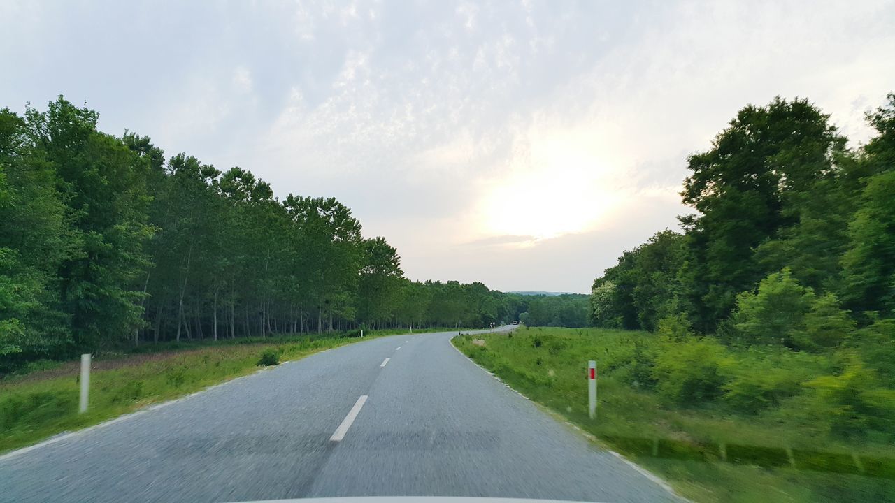 the way forward, tree, transportation, road, sky, diminishing perspective, vanishing point, road marking, cloud - sky, country road, empty road, tranquility, cloud, growth, nature, street, empty, cloudy, tranquil scene, no people