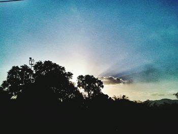 Low angle view of silhouette trees against sky