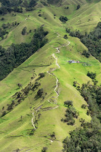 High angle view of green landscape