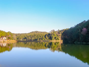Scenic view of lake against clear blue sky