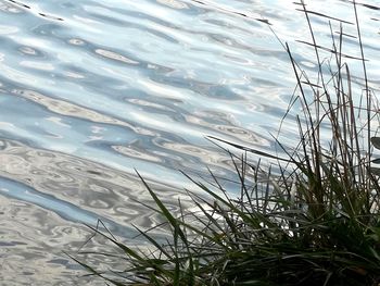 High angle view of rippled water in lake