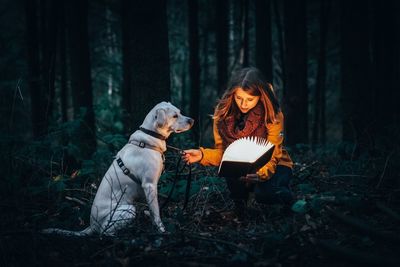 View of dog in forest