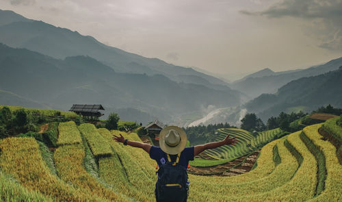 Rear view of man with arms outstretched standing on terraced field
