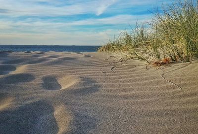 Scenic view of beach against sky