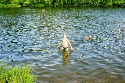 Swan swimming in lake