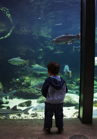 Boy standing in aquarium