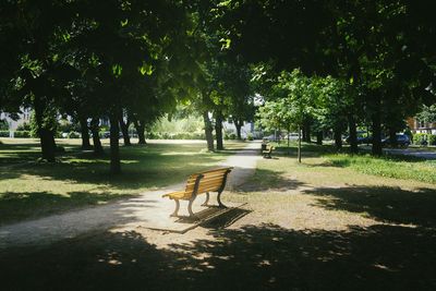 Empty road in park