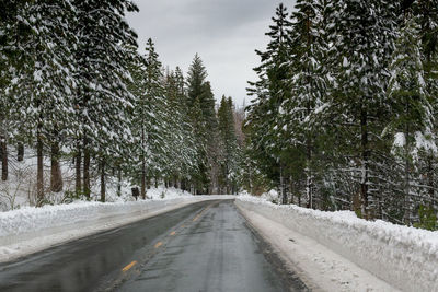 Road amidst trees against sky during winter