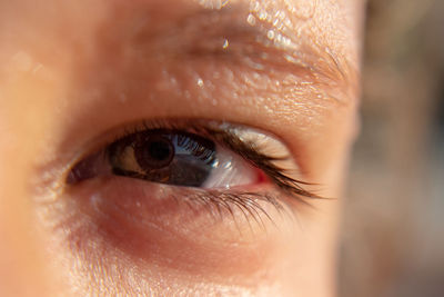 Close-up of human eye