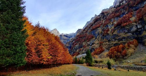 Road amidst trees against sky during autumn