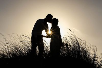 Silhouette of plants on field at sunset