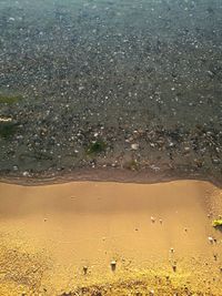 High angle view of beach