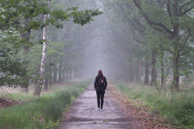 Rear view of backpack woman walking on road amidst trees on field in foggy weather