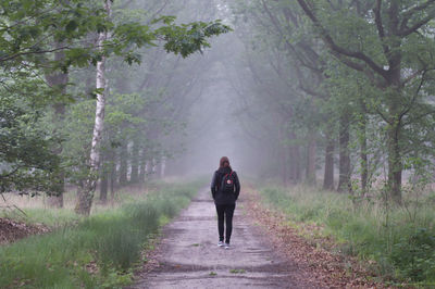 Rear view of woman walking in park