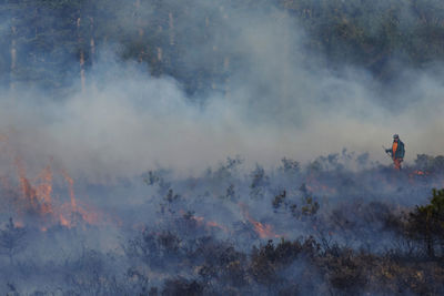 A worker from forestry england manages controlled burning, new forest national park, lyndhurst, uk.