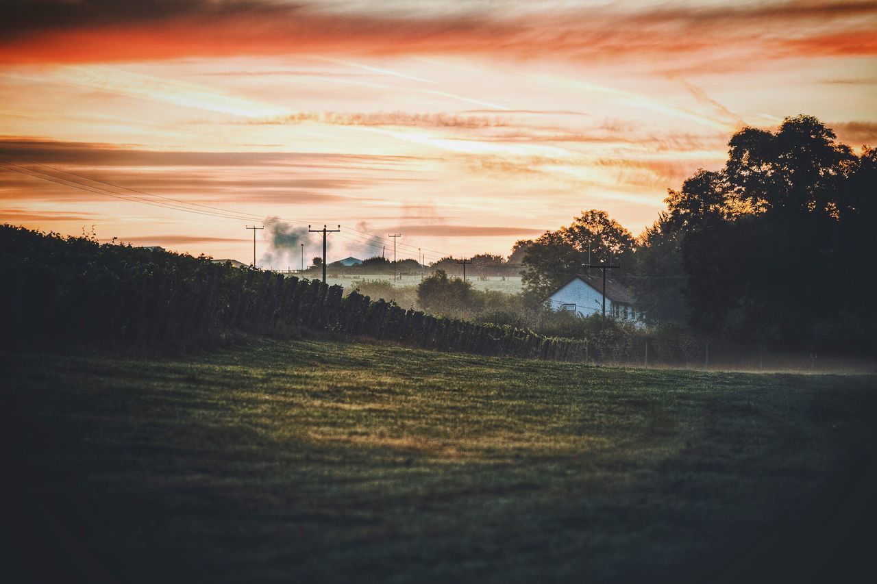 sunset, tree, tranquil scene, sky, scenics, tranquility, landscape, silhouette, beauty in nature, cloud - sky, cloud, dark, nature, field, rural scene, outdoors, majestic, remote, non-urban scene, outline, dramatic sky, atmospheric mood, no people, solitude, cloudscape, cloudy, agriculture