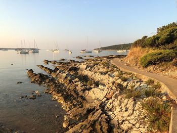 Sailboats moored in marina