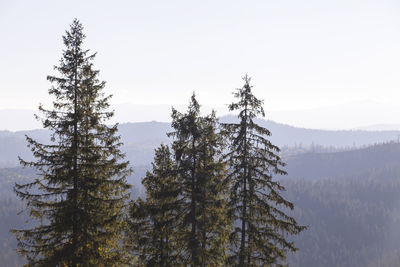 Extreme fun off-road atv ride through the autumn mountains