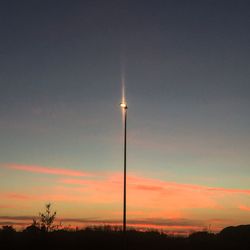 Low angle view of trees against sky during sunset