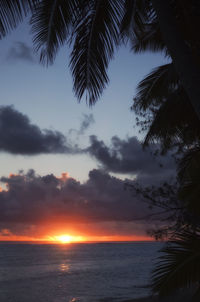 Silhouette palm trees by sea against sky during sunset