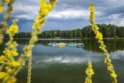 A group of empty yellow and blue pedal boats in the middle of a lake. majdan sopocki, poland