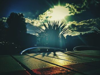 Close-up of car on road against trees