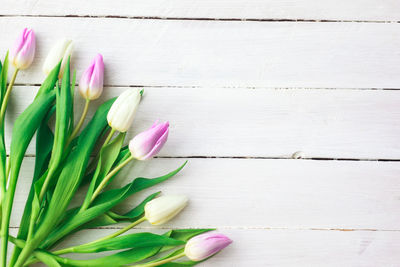 High angle view of pink tulip on table